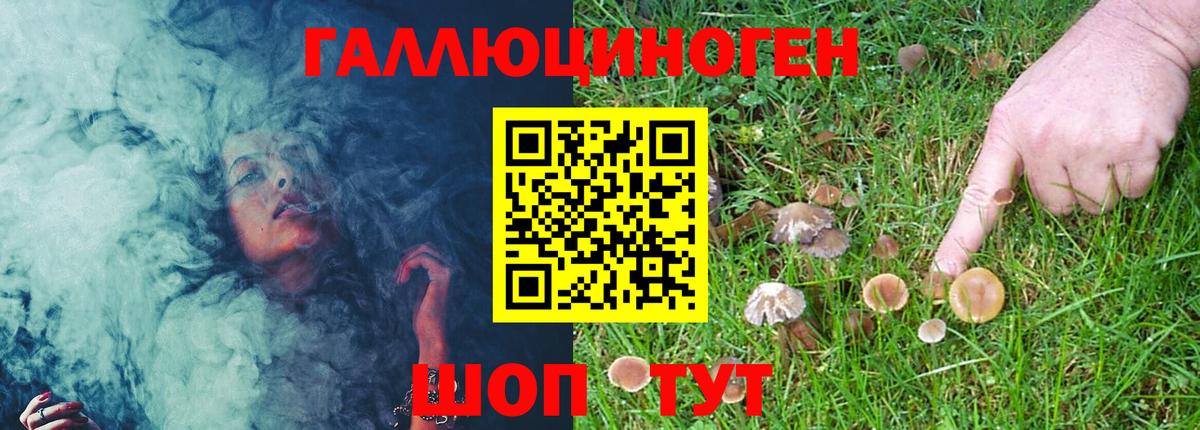 Междуреченск  Псилоцибиновые грибы MAGIC MUSHROOMS  Вход с VPN 