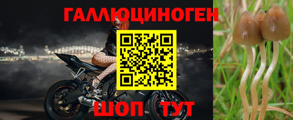 Псилоцибиновые грибы ЛСД Междуреченск